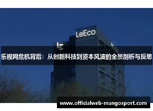 乐视网危机背后：从创新科技到资本风波的全景剖析与反思