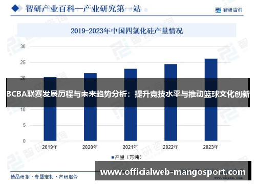 BCBA联赛发展历程与未来趋势分析：提升竞技水平与推动篮球文化创新
