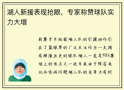 湖人新援表现抢眼，专家称赞球队实力大增